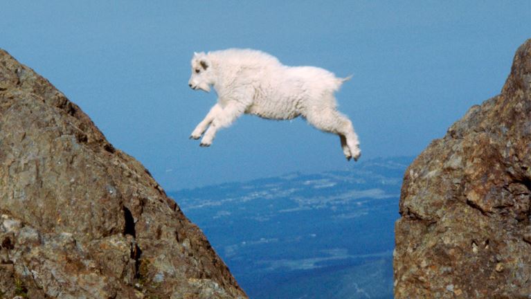 Research: When Overconfidence Is an Asset, and When It’s a Liability